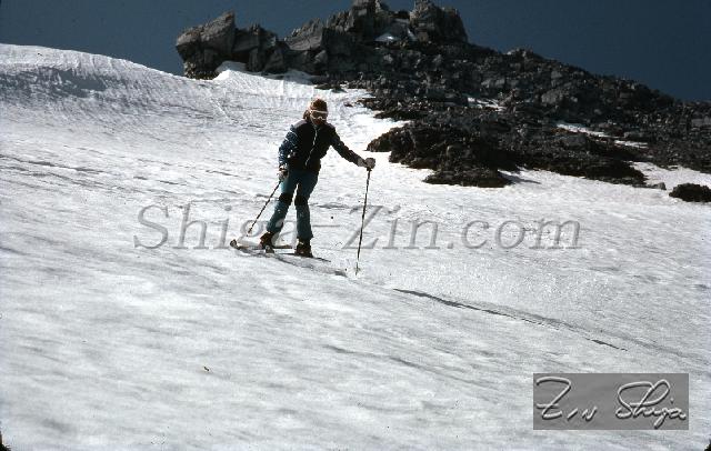 S0000085164.jpg
