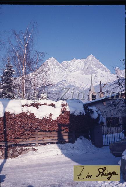 s0000009006.jpg