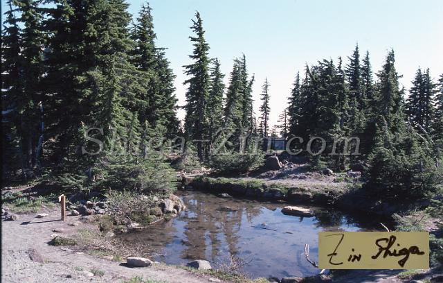 c0000101066.jpg