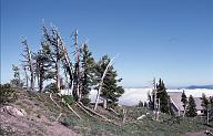 c0000101064