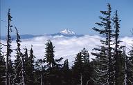 c0000101069