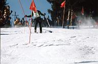 c0000118006