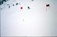c0000139008