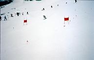 c0000139028