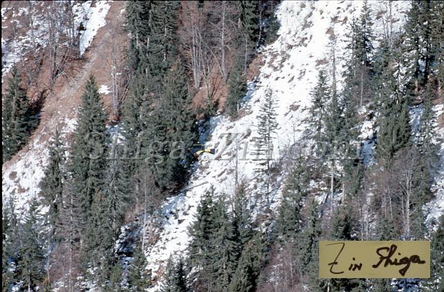 c0000191052.jpg