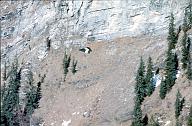 c0000191049