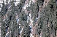 c0000191051