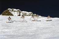 c0000196102