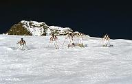 c0000196113