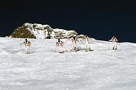 c0000196114
