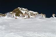 c0000199162