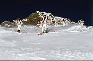 c0000199164