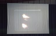 c0000203205