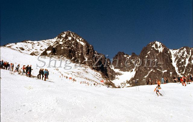 c0000254104.jpg