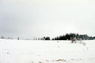 c0000254126
