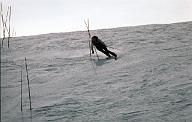 c0000291140