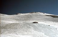 C0000471132