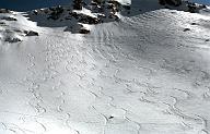 C0000473105