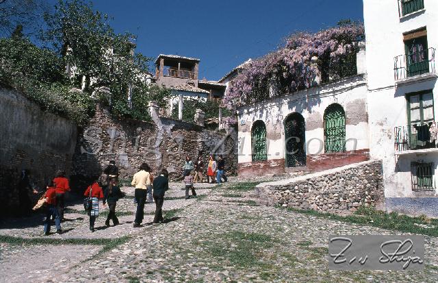 C0000475128.jpg