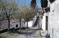 C0000475116
