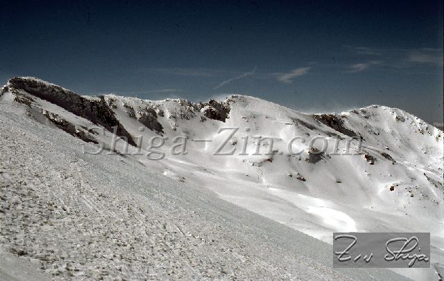 C0000477154.jpg