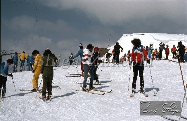 C0000480186.jpg