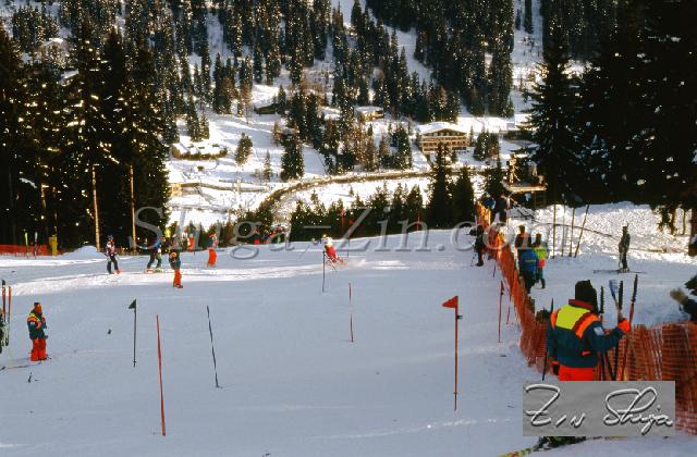 c0000510133.jpg