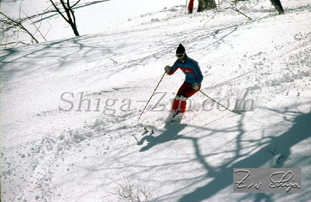 c0000529115.jpg