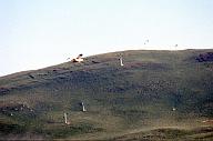 C0000536168