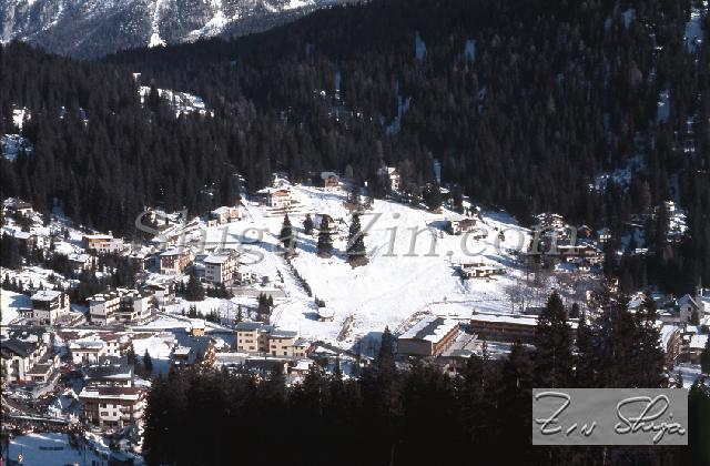 C0000545205.jpg