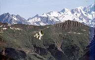 C0000550128