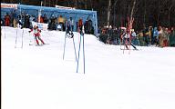 C0000556141