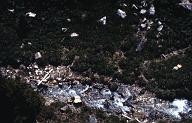 C0000562119