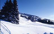 c0000342119