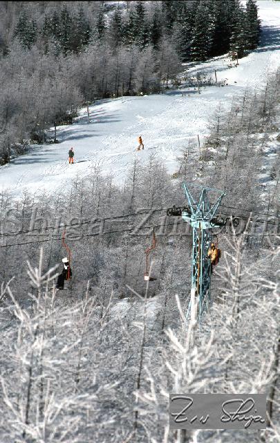 c0000343104.jpg