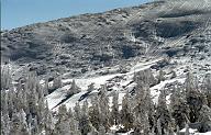 c0000343116