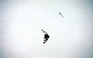 c0000368140