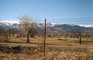 c0000405111