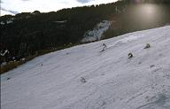 c0000408193