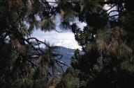 c0000423163