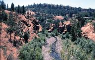 c0000423173