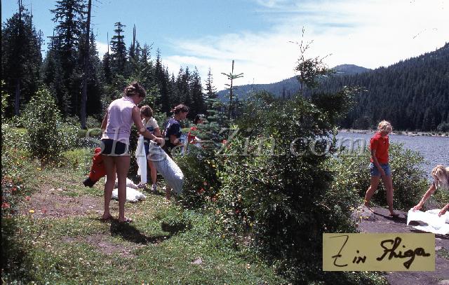 c0000424160.jpg