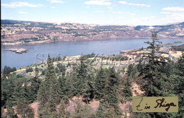 c0000425180.jpg