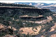 c0000425173