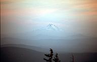 c0000429164