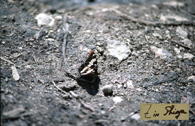 c0000436120.jpg