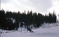 c0000447137
