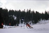 c0000447139