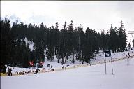 c0000447143