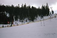c0000447151